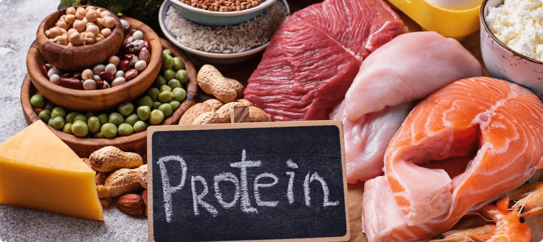 animal-and-plant-protein-1536x1024-1